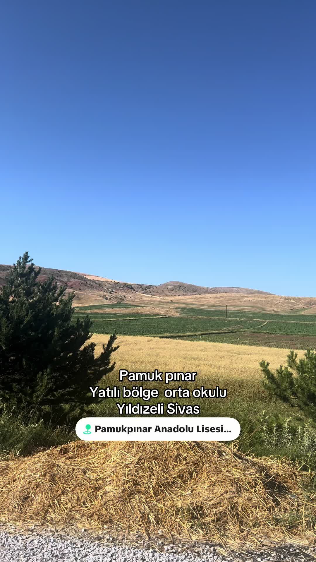 @58seda