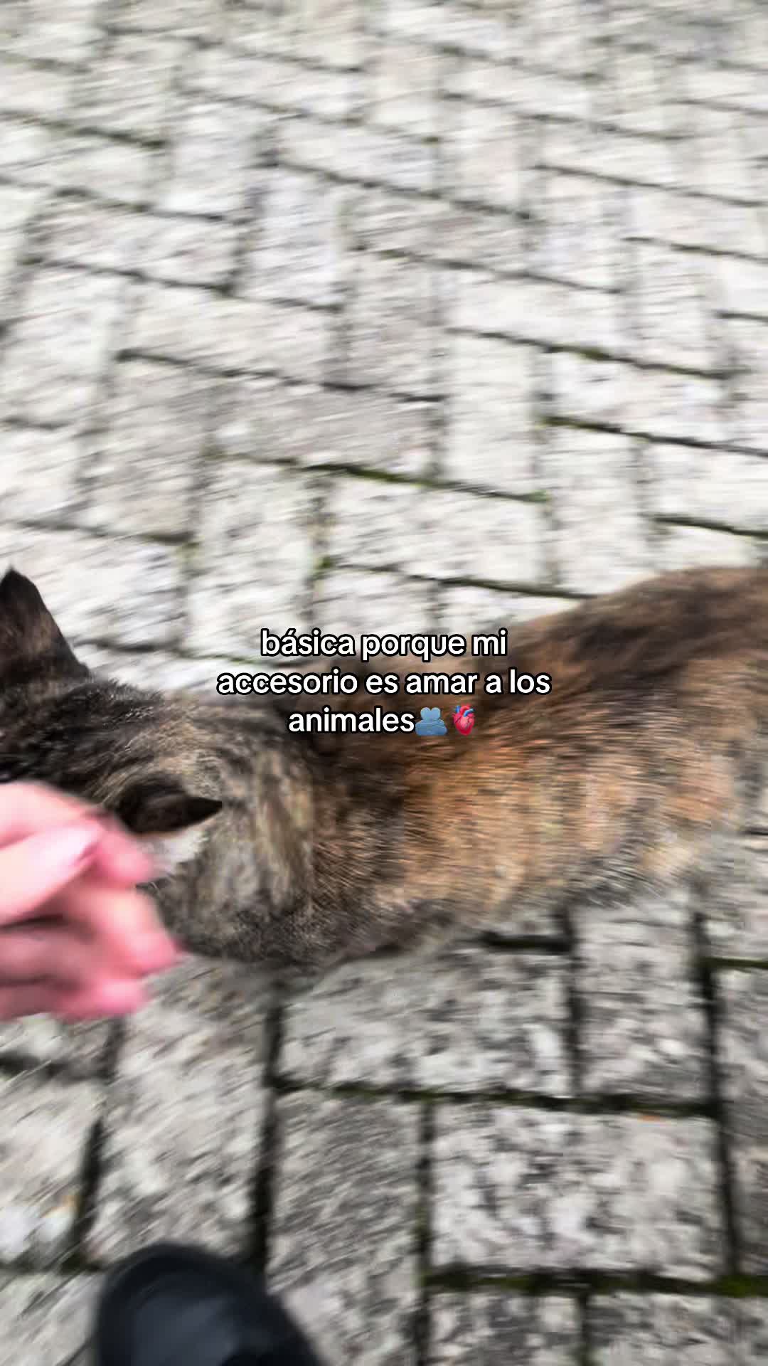 @aranchadamass