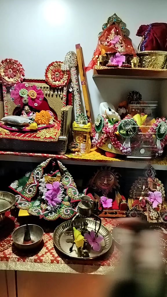 @Anjani Thakur🌻🌻