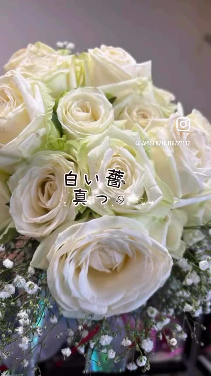 @lapislazuli19721112