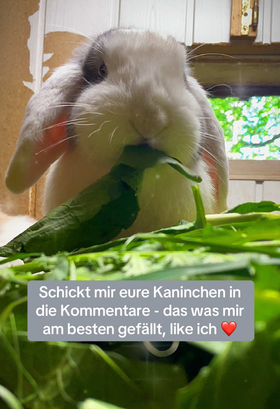 @𝓢𝓮𝓵𝓲𝓷𝓪𝓼 𝓑𝓪𝓷𝓭𝓮 💌