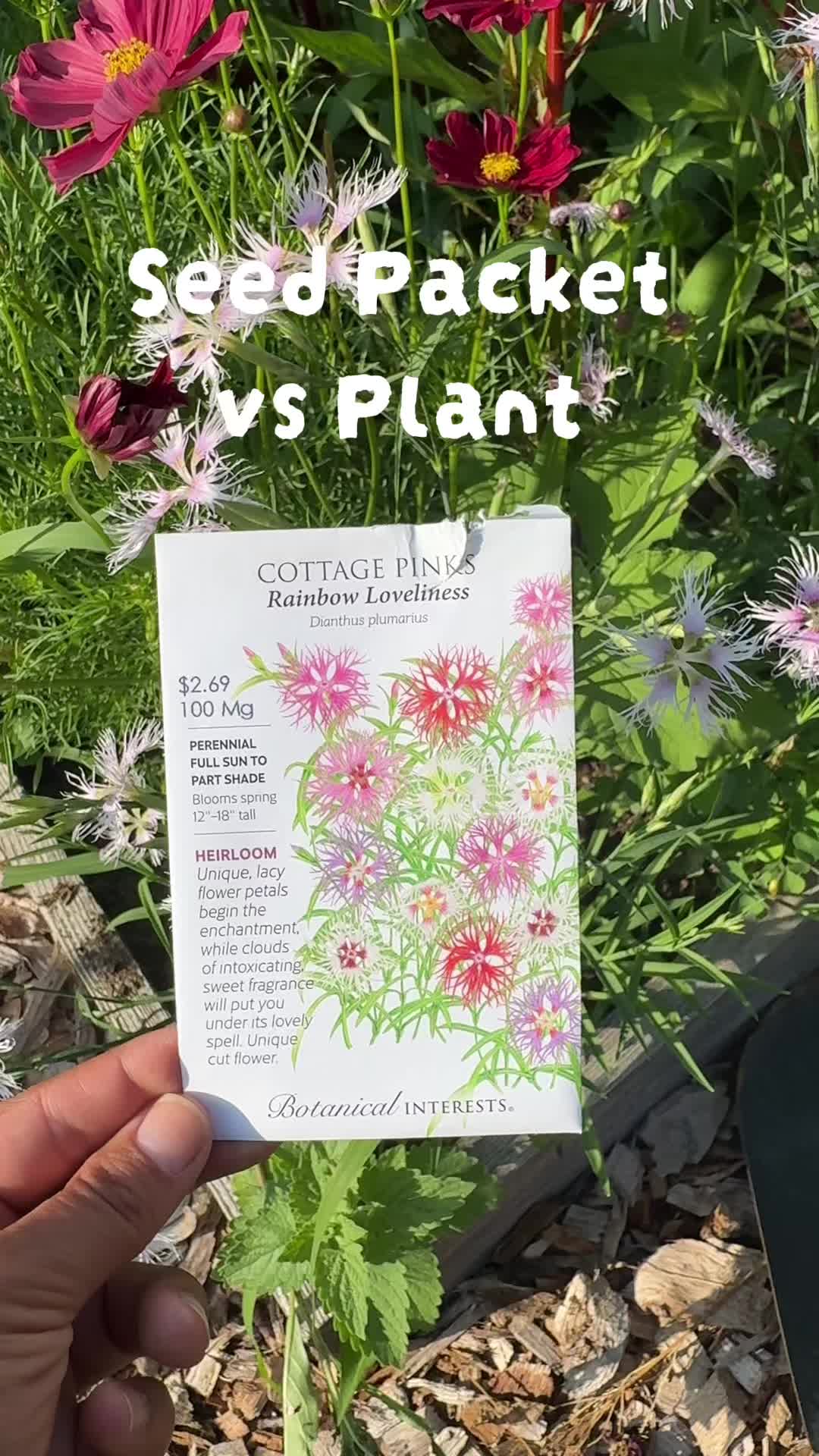 @Manica | zone 6a gardener