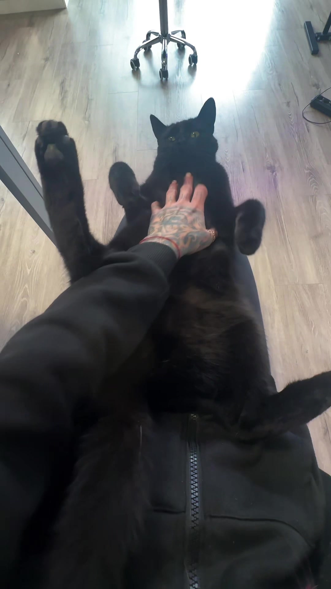 @Kitty | UNIKATZ Tattoo