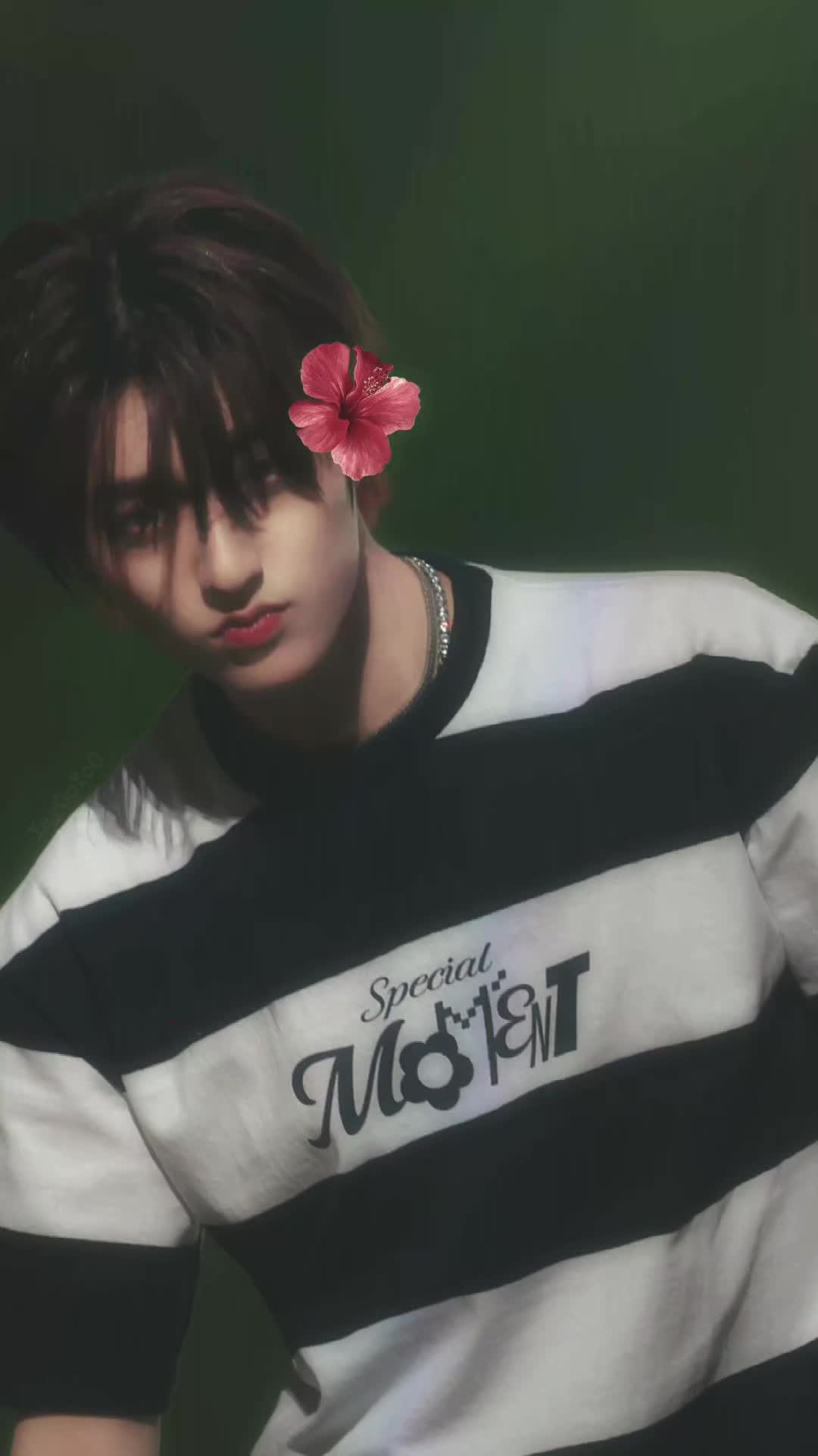 @Kesayangan mashiru🐣