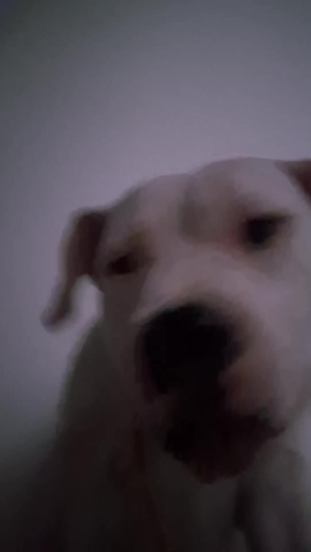 @Stella