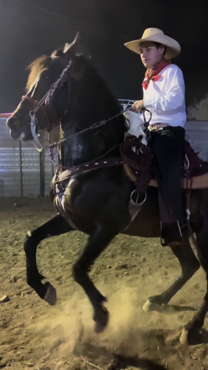 @K.borja🐴