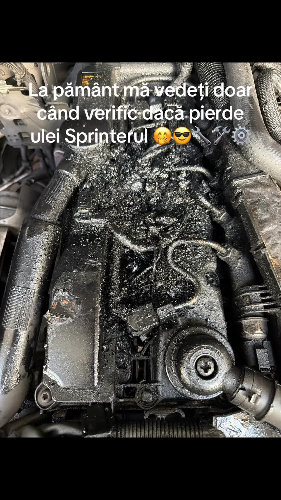 @Ionut-John