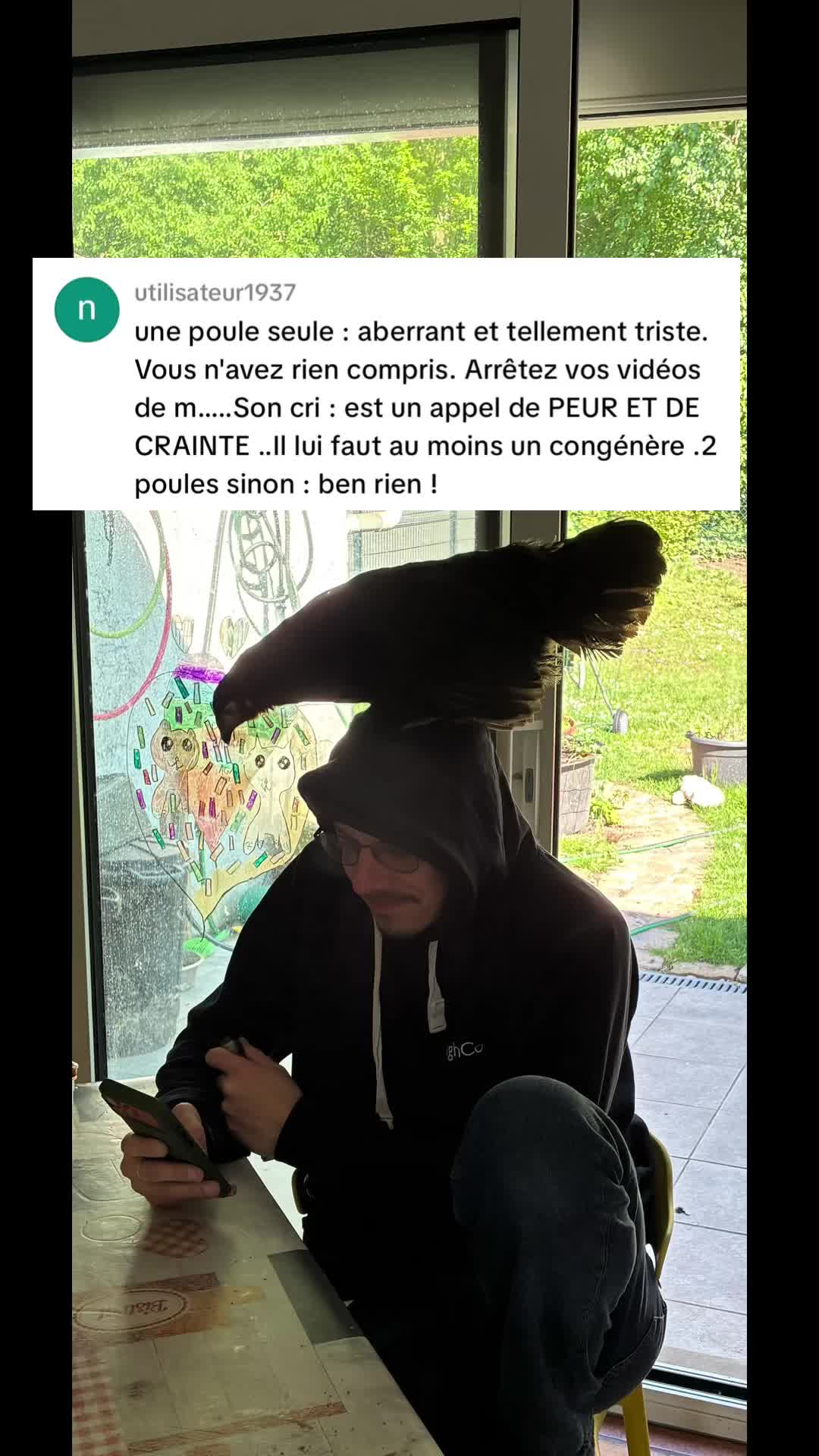 @Nounours et compagnie
