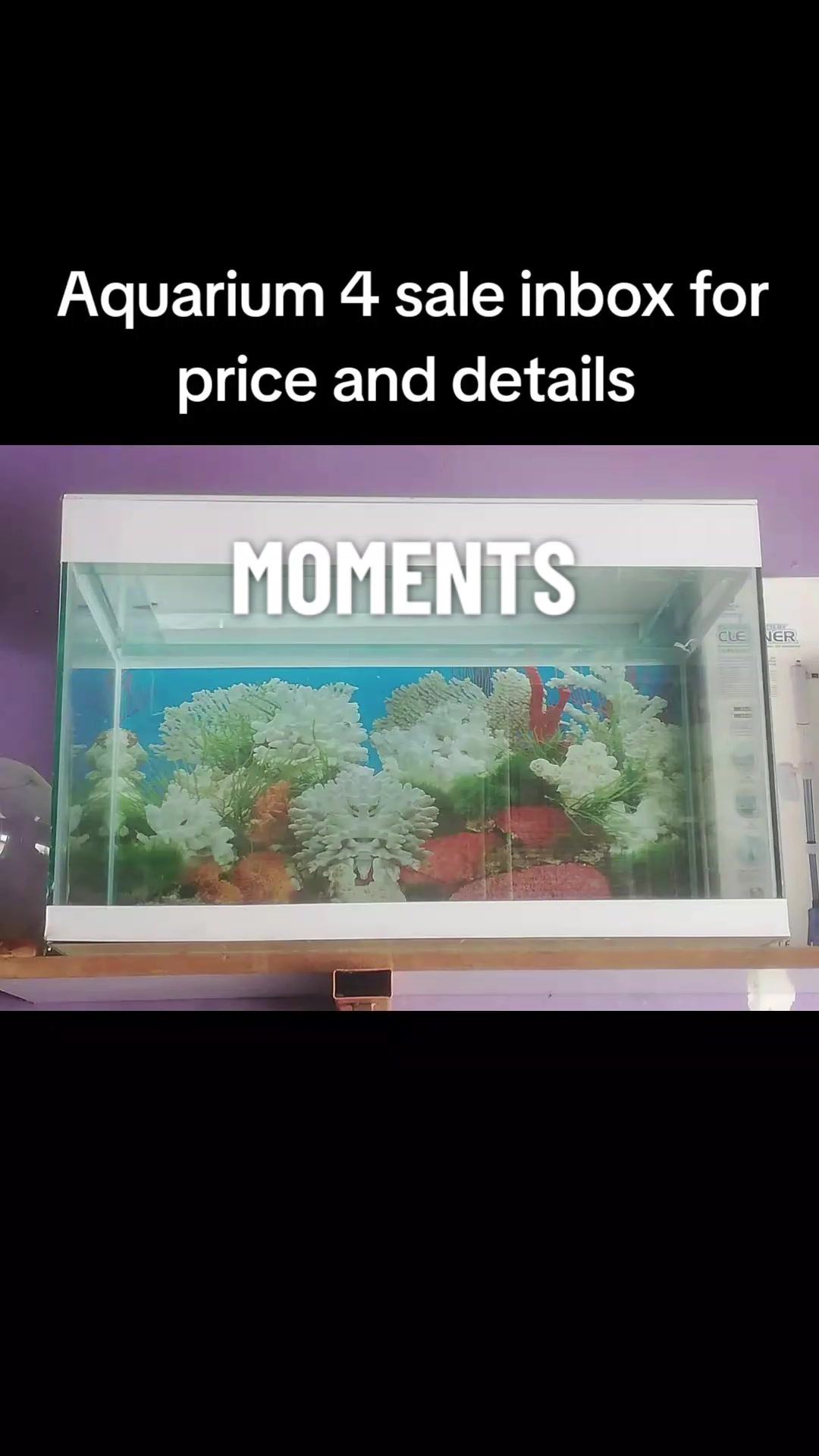 @BALO'S AQUARIUMS