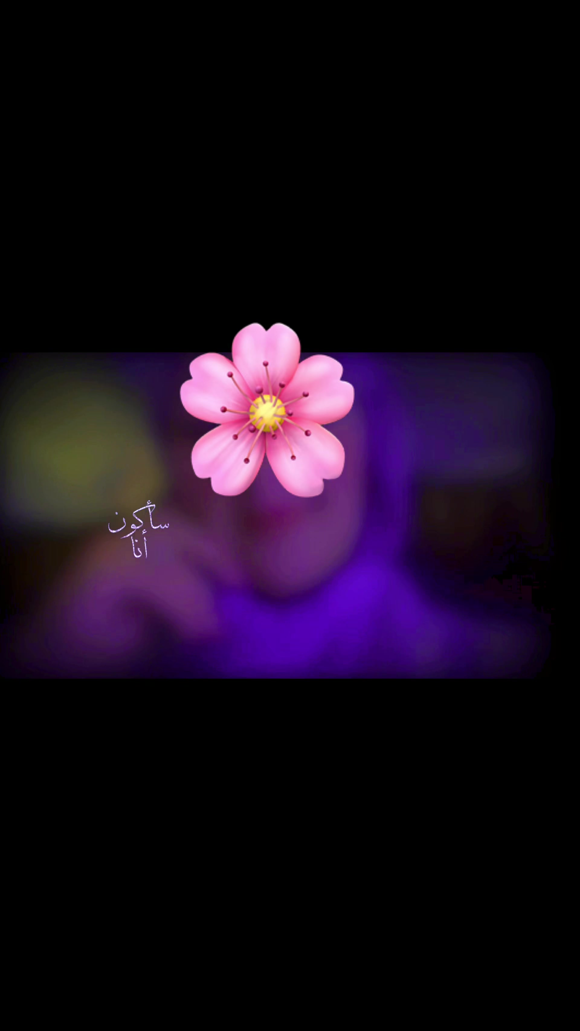 @Hassina.mpb