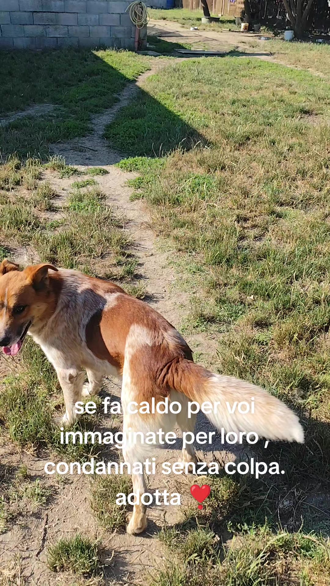 @Io e la mia karmela 🥰