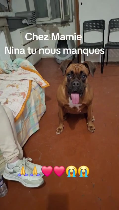 @Natasha Nina