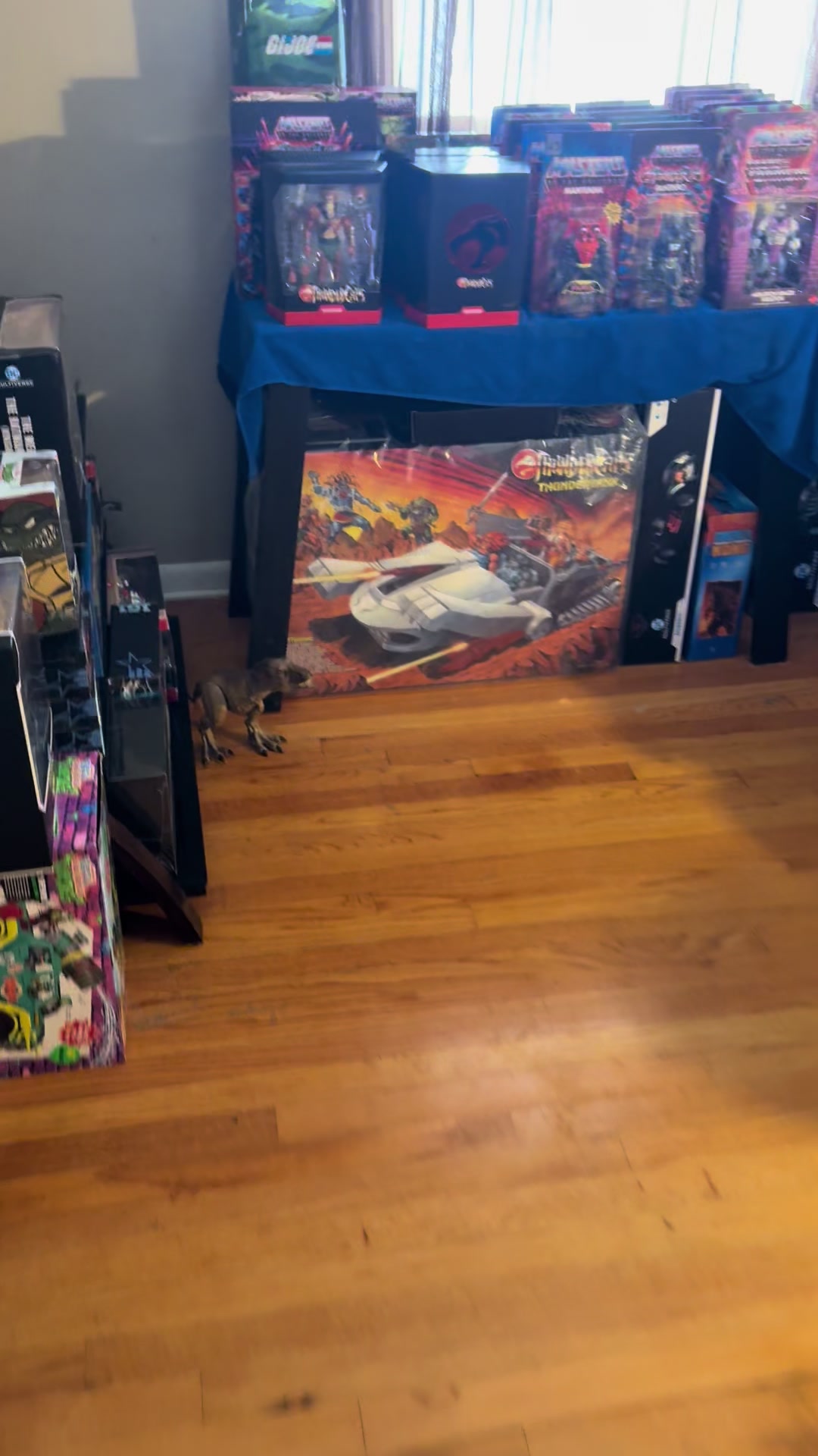 @BIG ROB TOY AND SHOE ADDICT!!