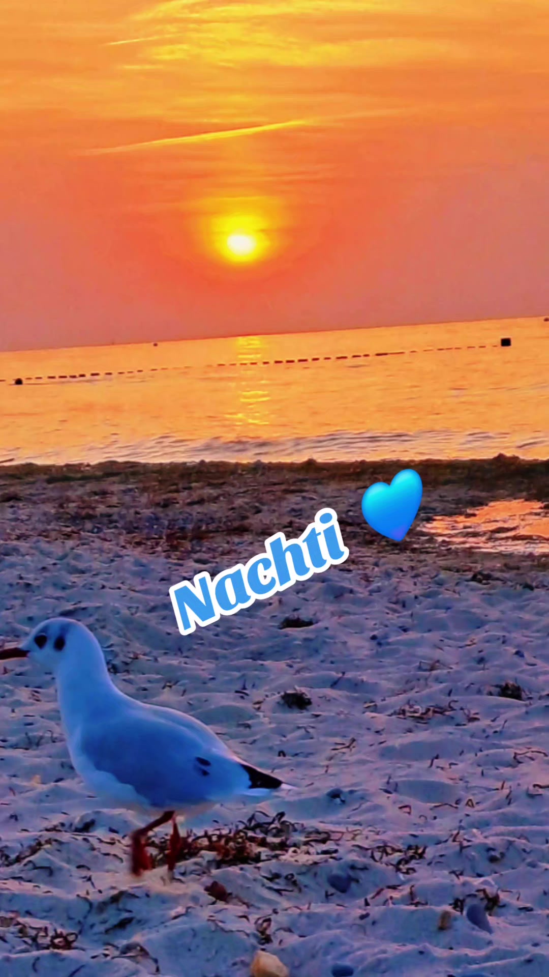 @💙  Claudia  💙