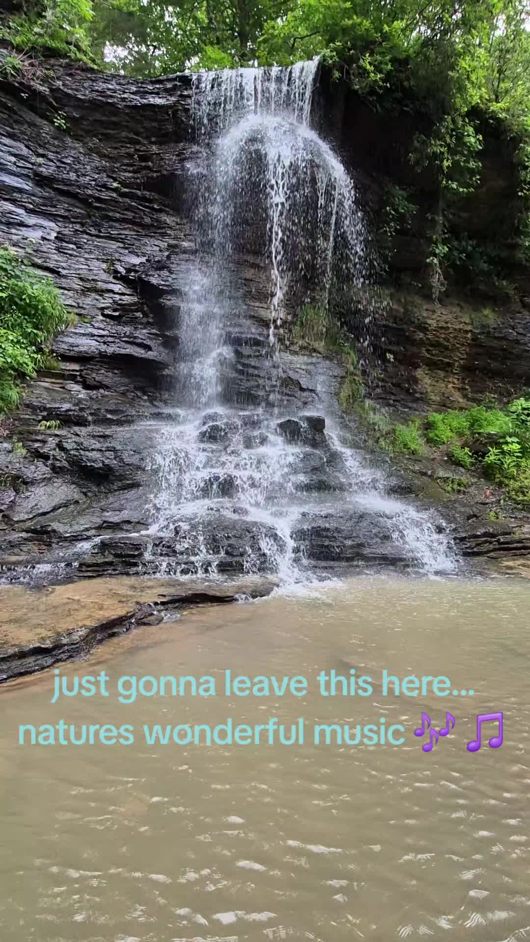 @Plugg❌️