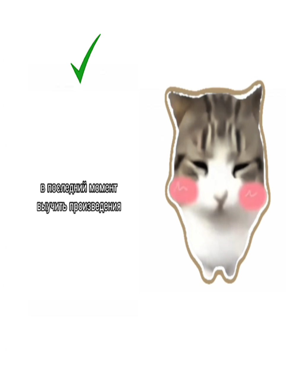 @Дарья Бакулина