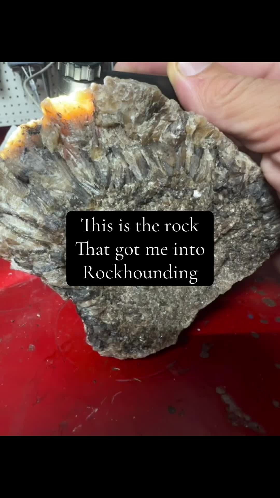 @Rockhard Steve
