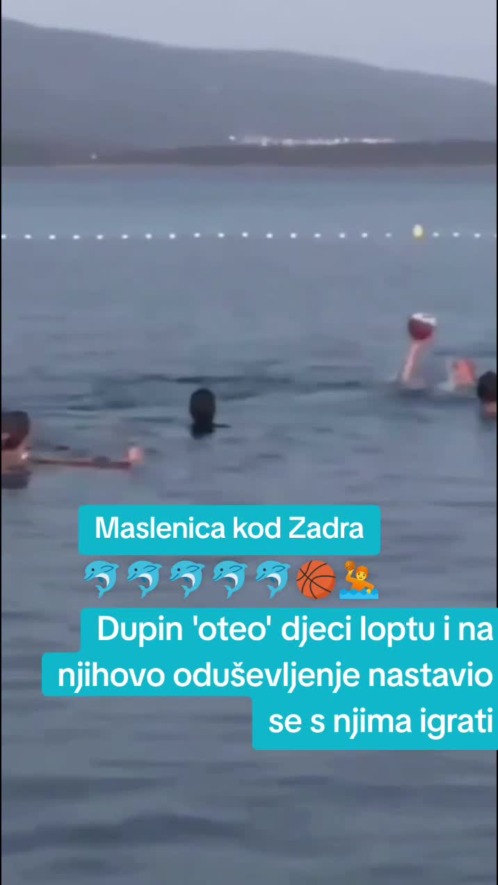 @Hrvoje Tremljan