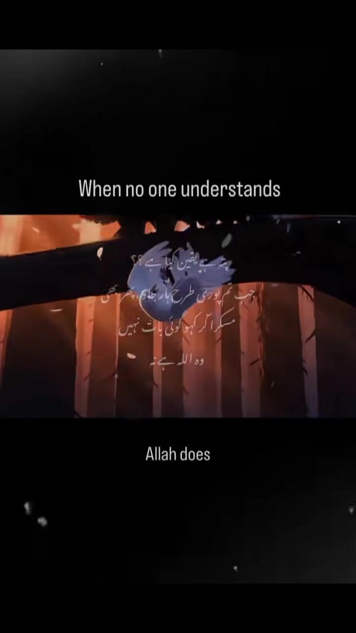 @Quran vibes✨