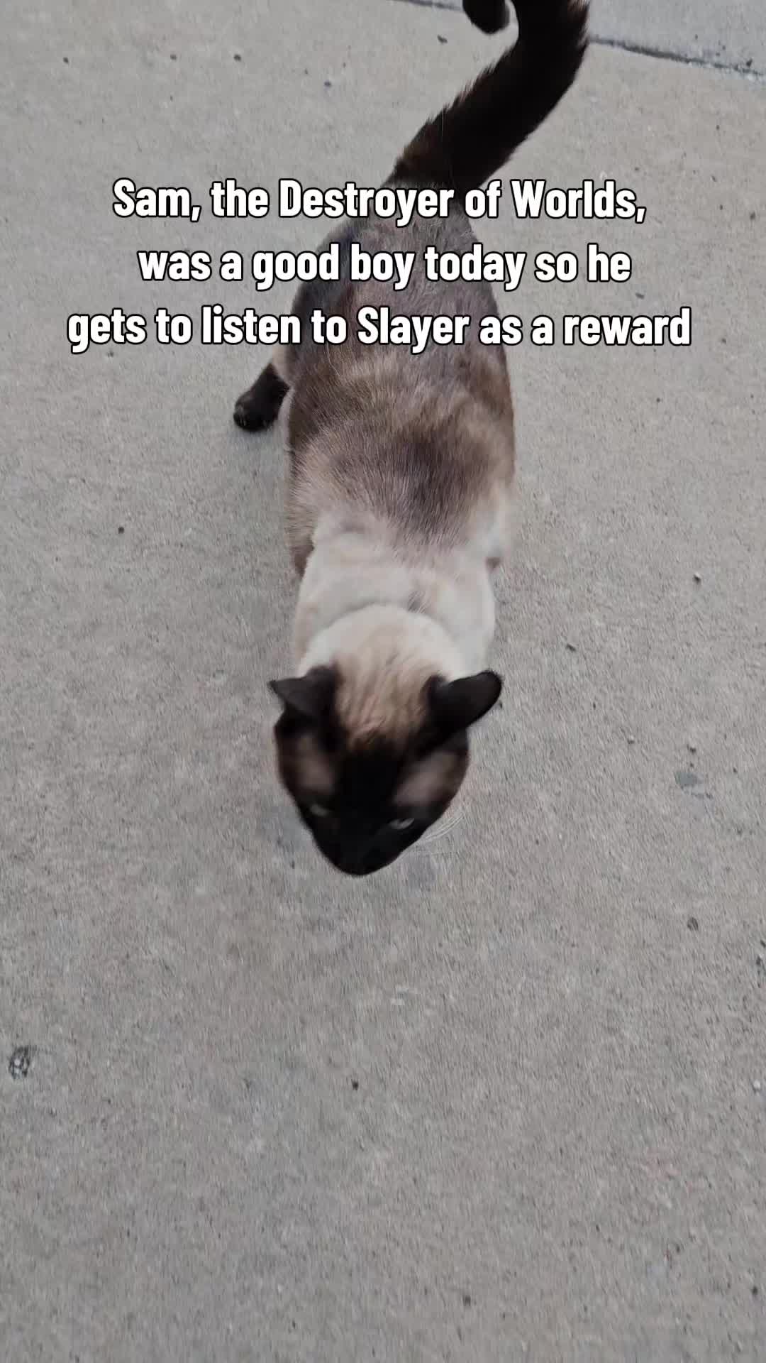 @rogerbiscuits