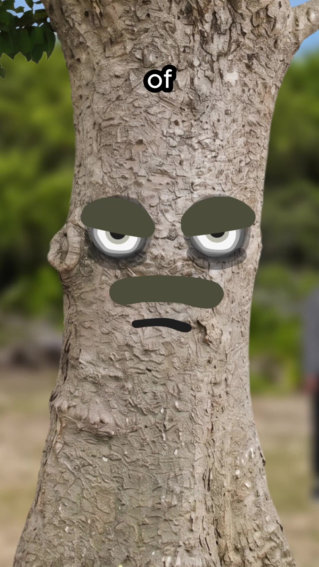 @HoodieGuy