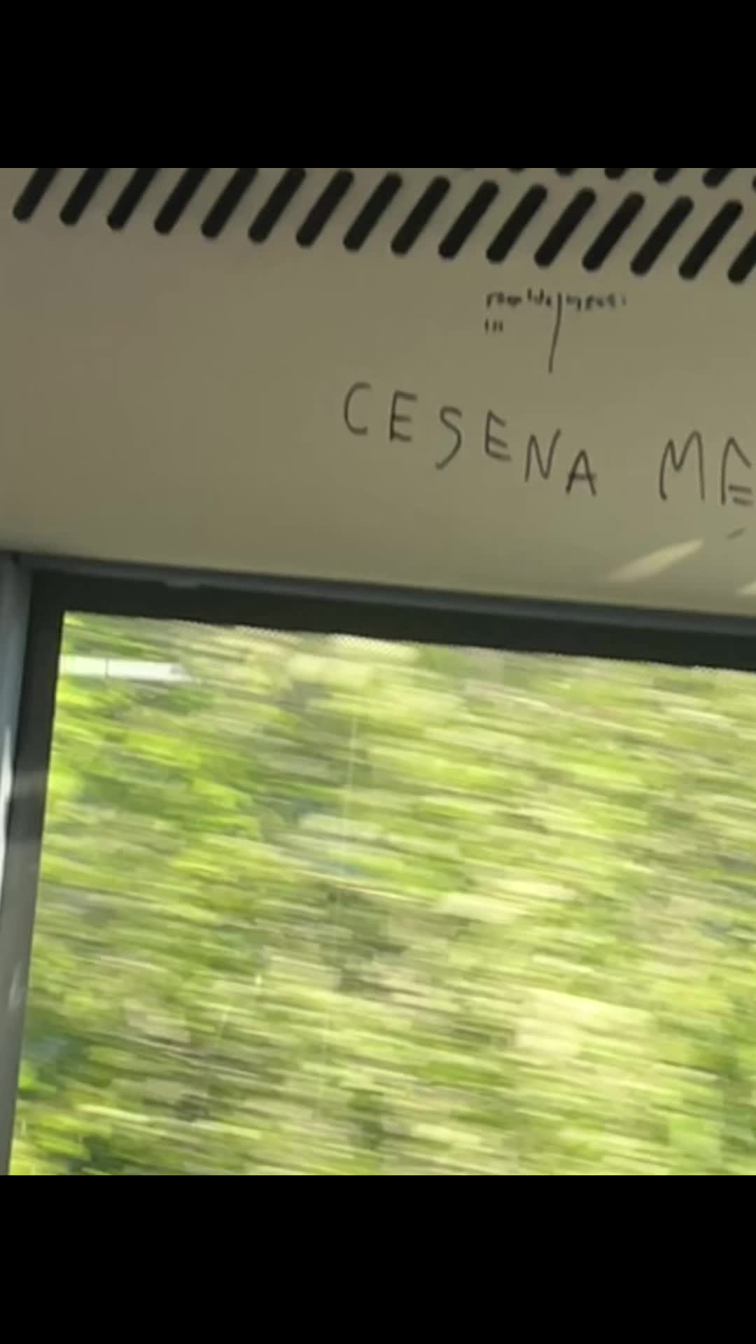 @guasto333