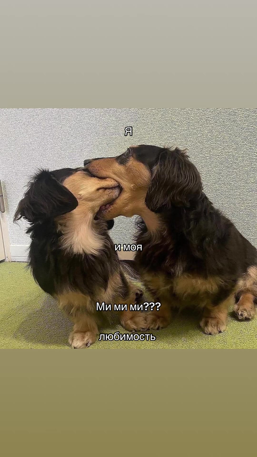 @Забытая