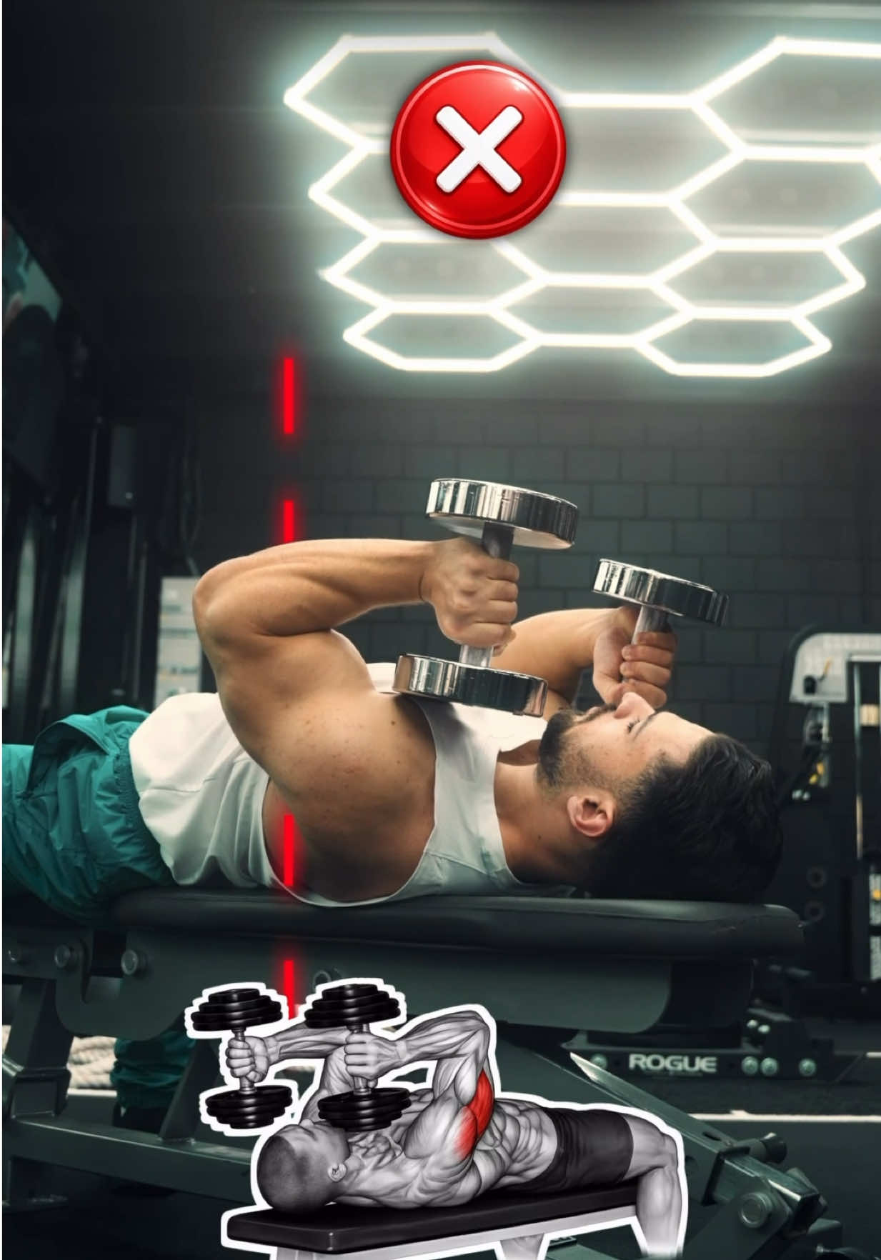 @IFBB PRO ABDO