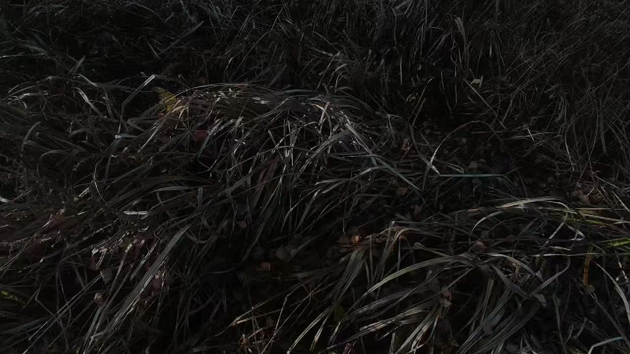@&reg;