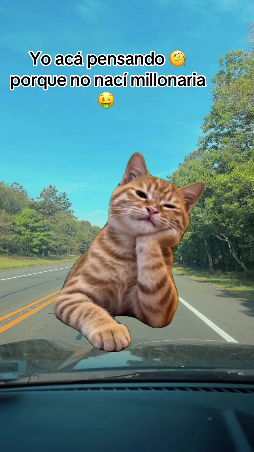@๐ฆ๐๐๐๐ง๐๐ซ๐ฒ ๐ฆ
๐ฌ๐งข๐ง๐ผโ๏ธ