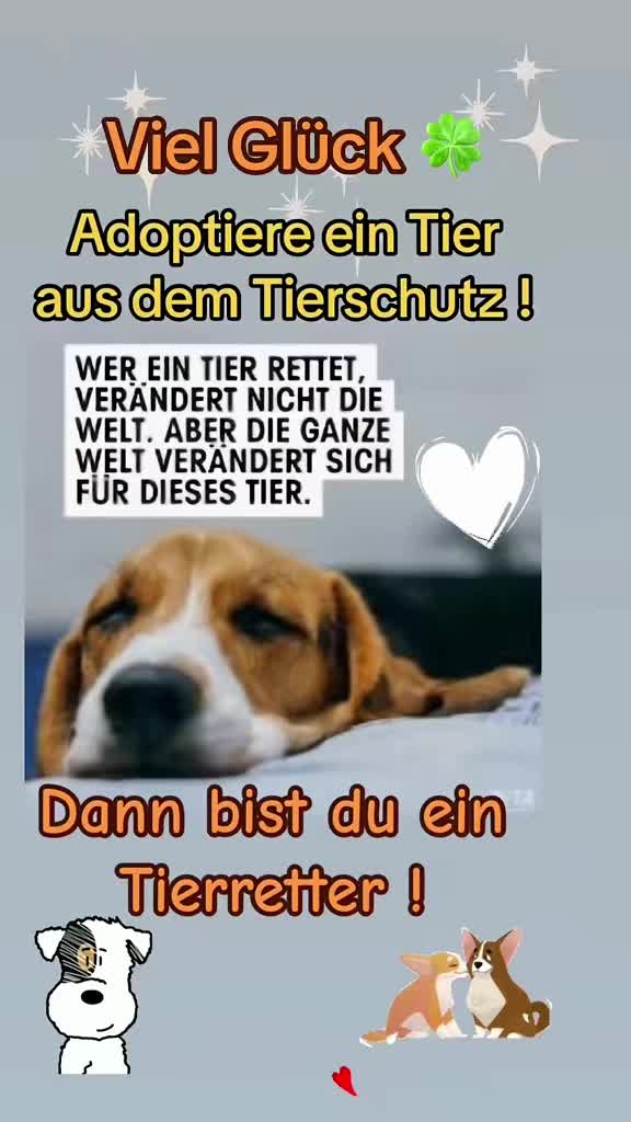 @❤️Ulla & Tiere❤️