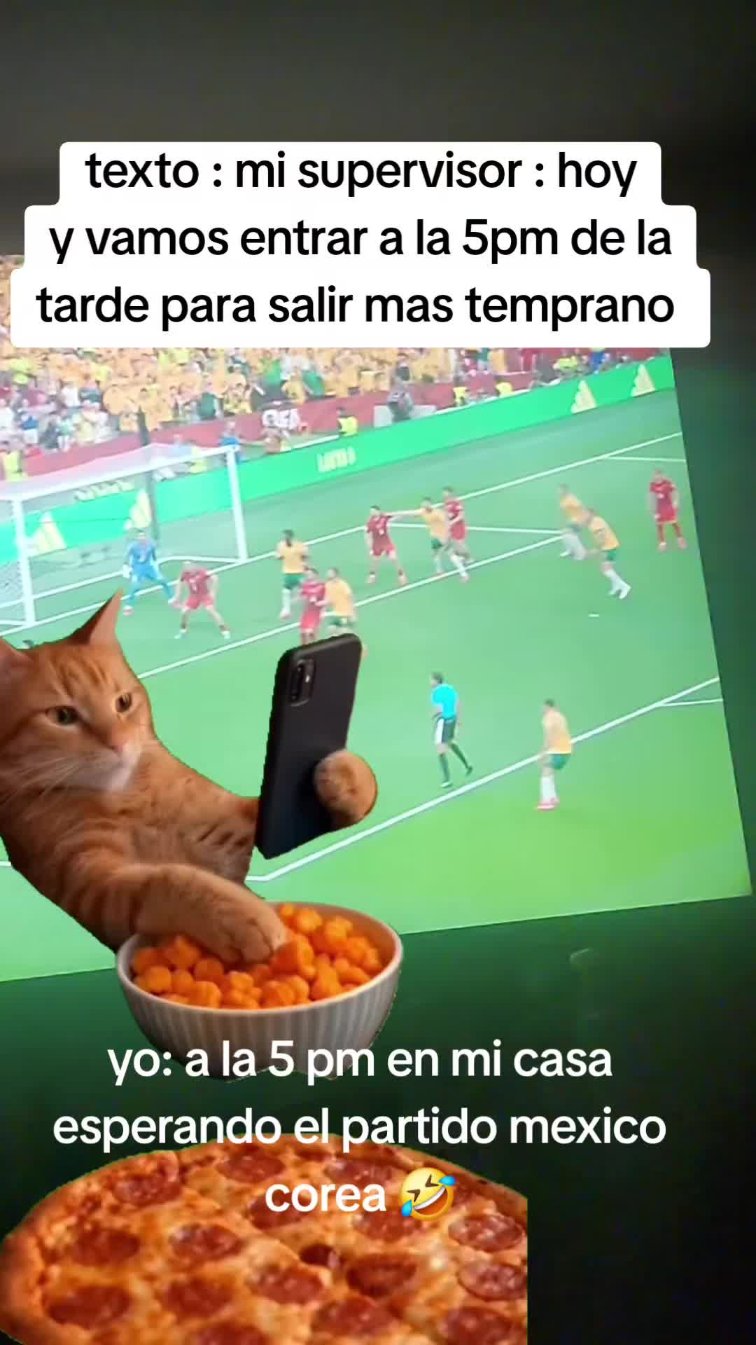 @G .. maldonado