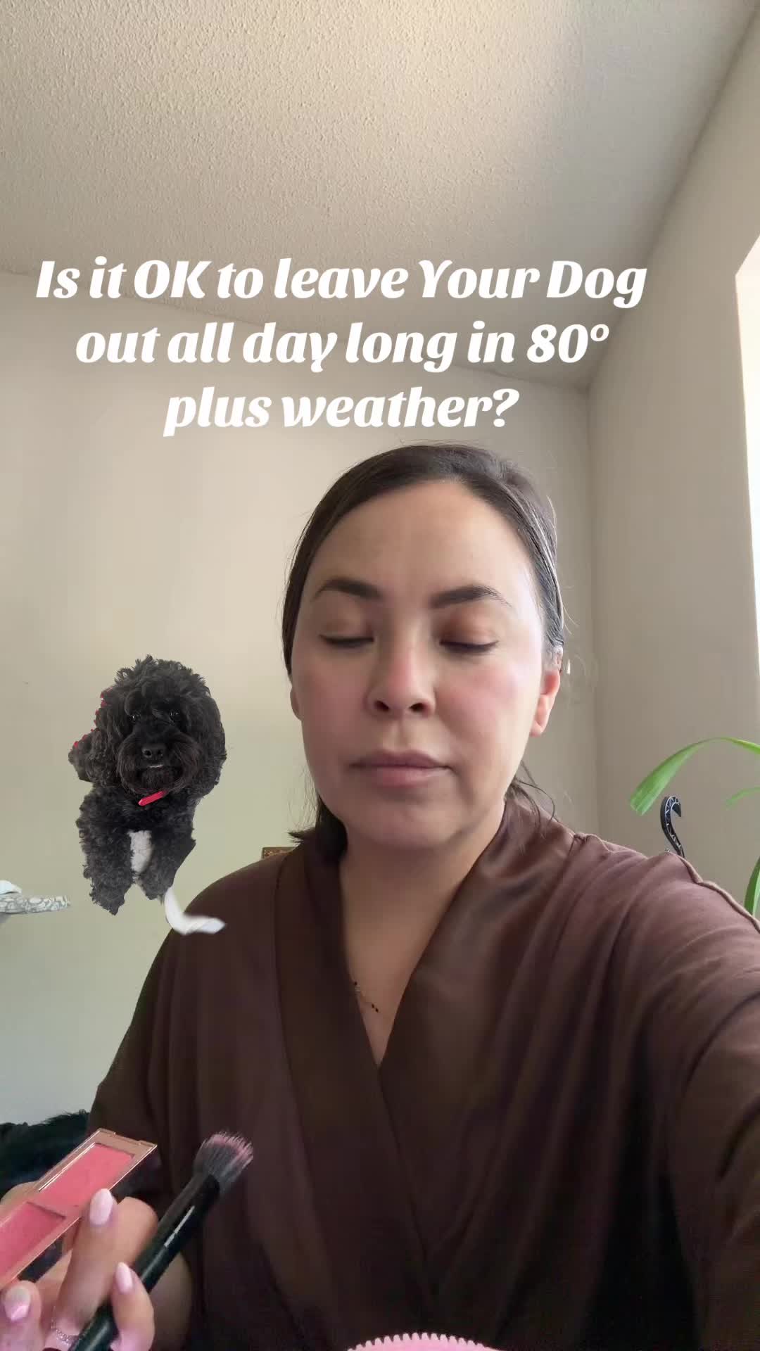 @AnnaChavolla