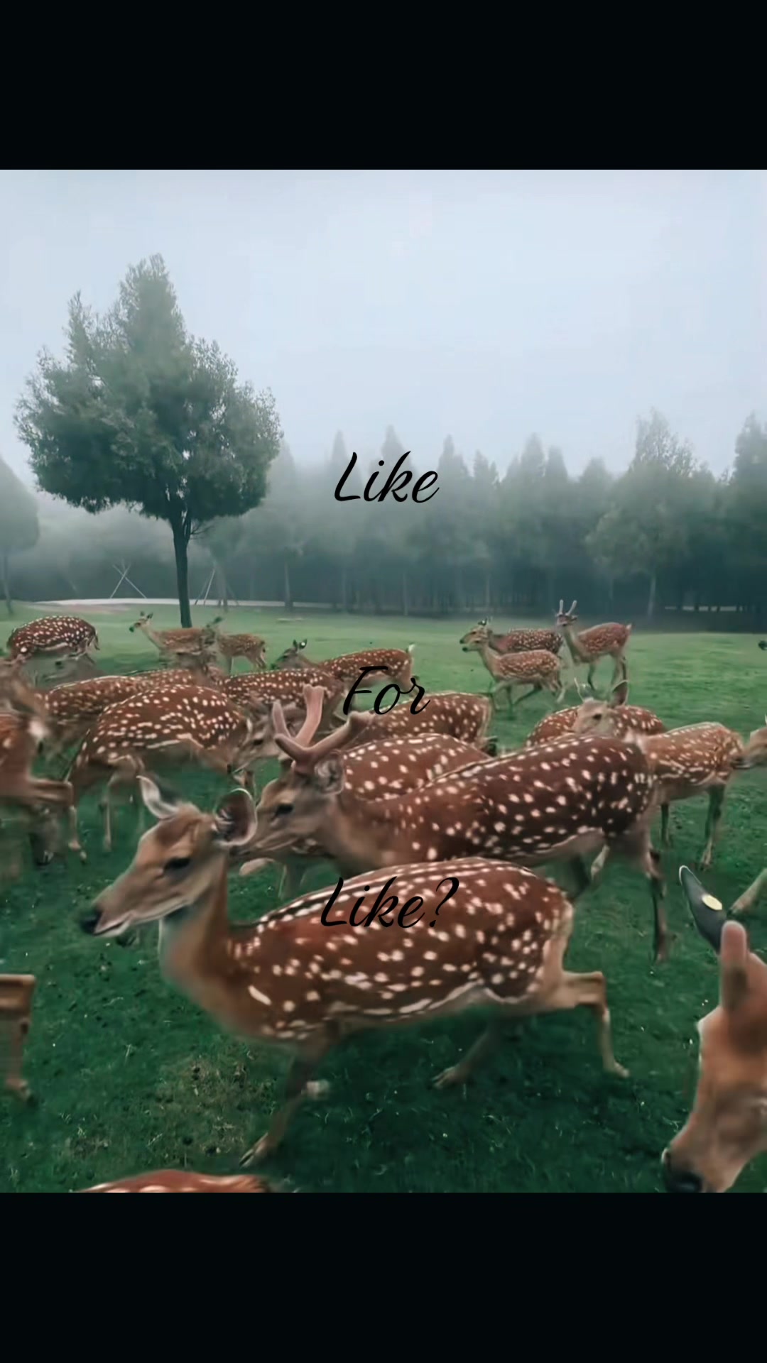 @mootsforevery0ne