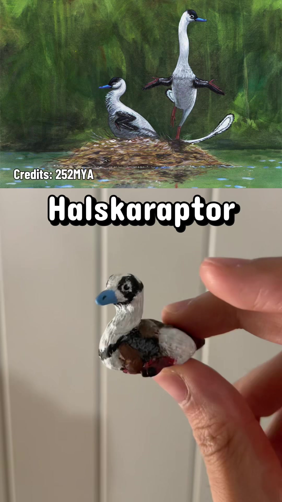 @DinoToyVault