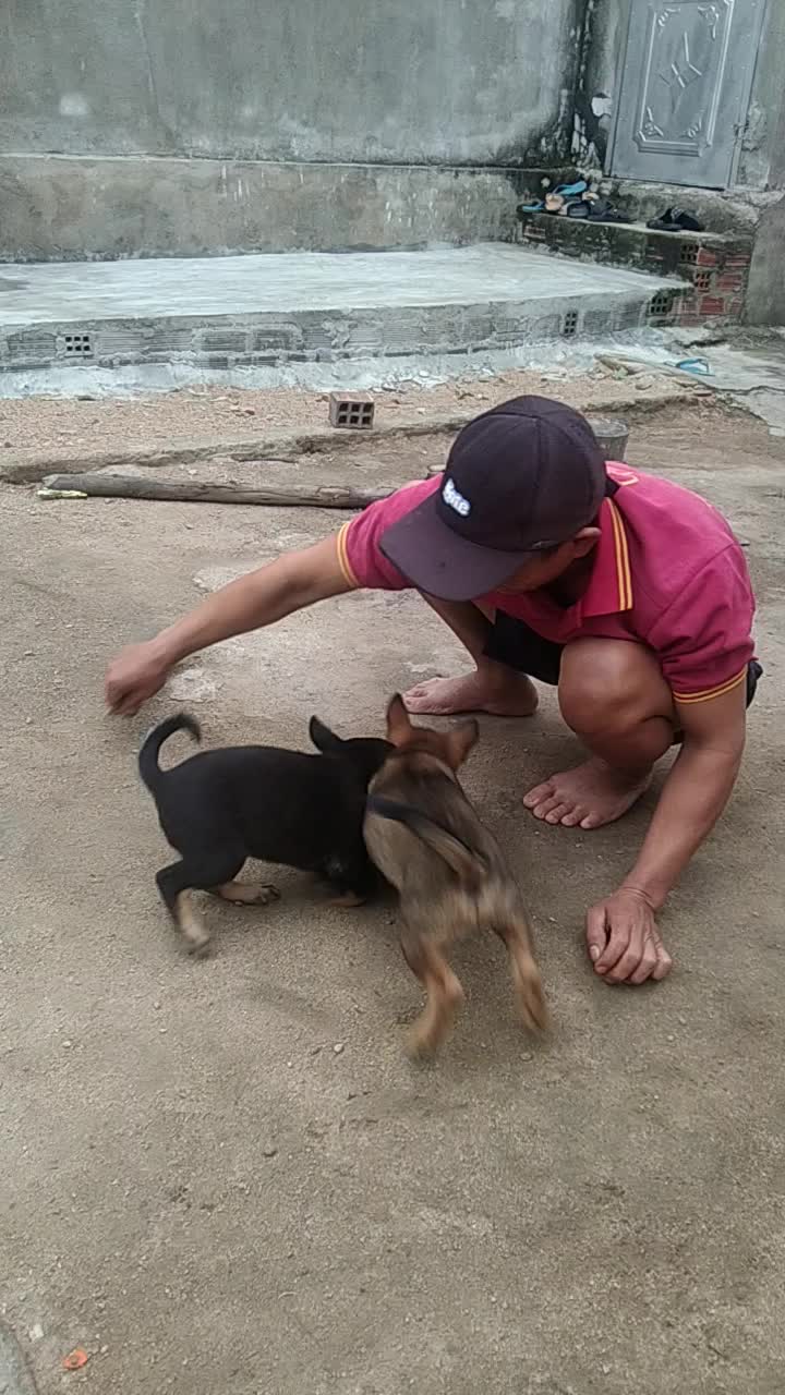 @siuthanh81