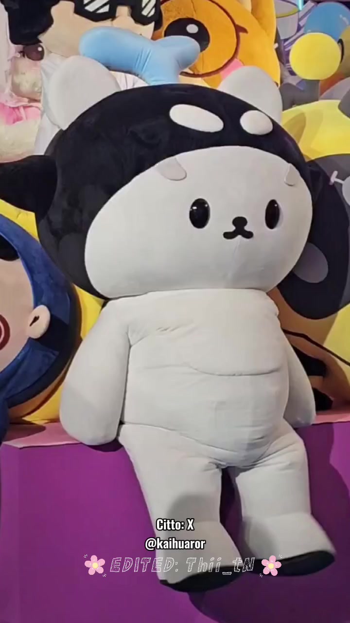 @๐
ฃ๐
๐
จ๐
๐
๐
ฆ๐
ข๐
๐
๐