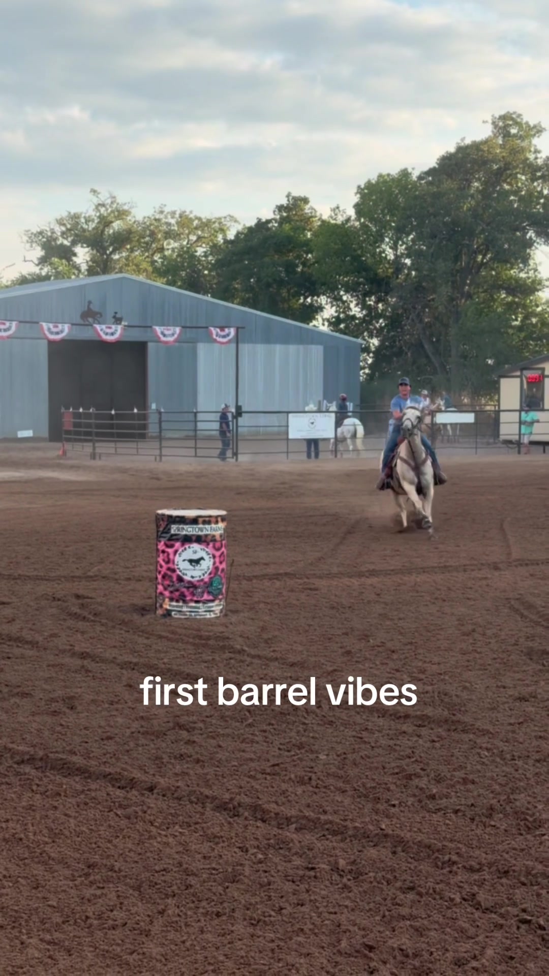 @haley&horses