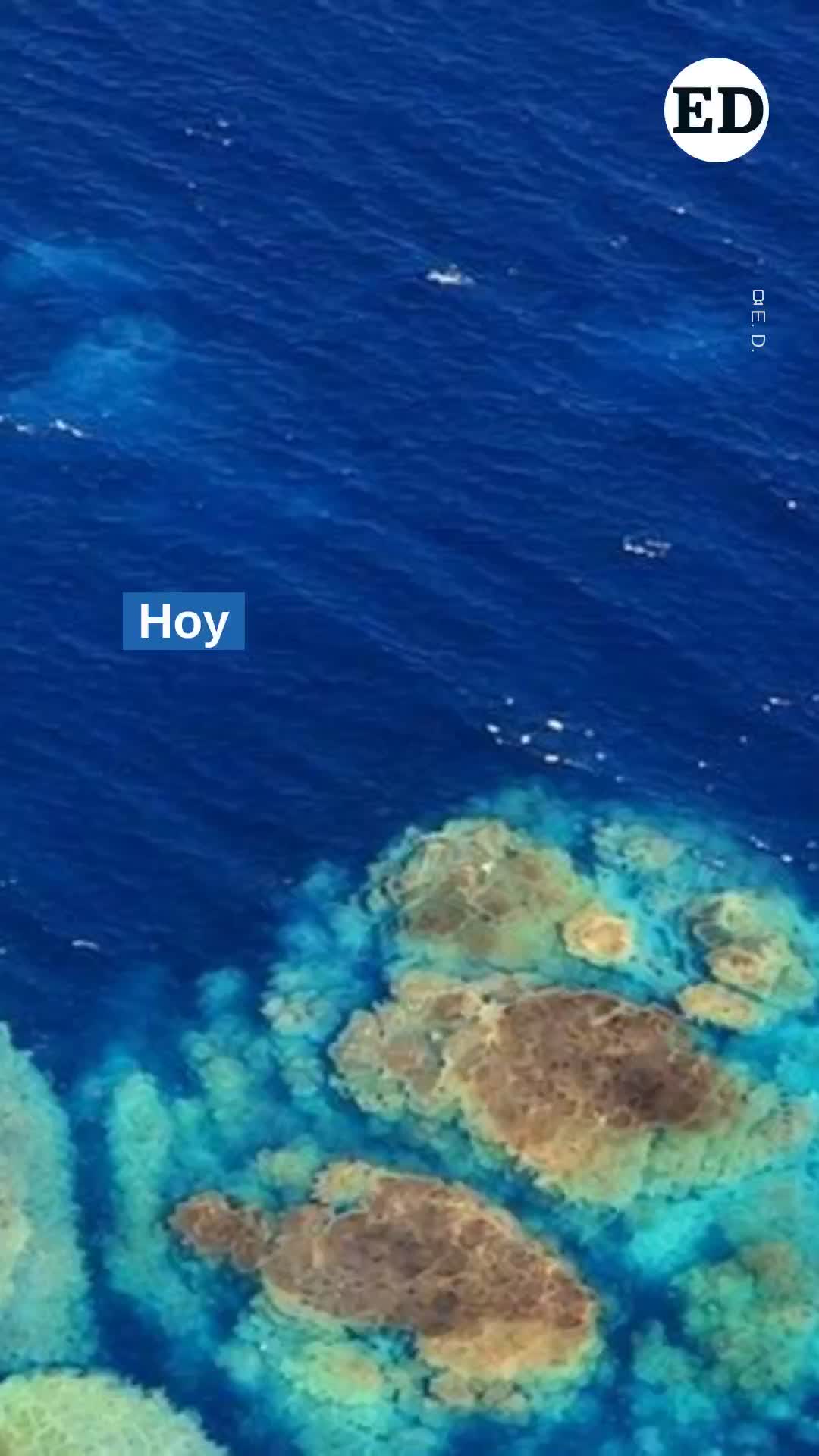 @El Día - Tenerife