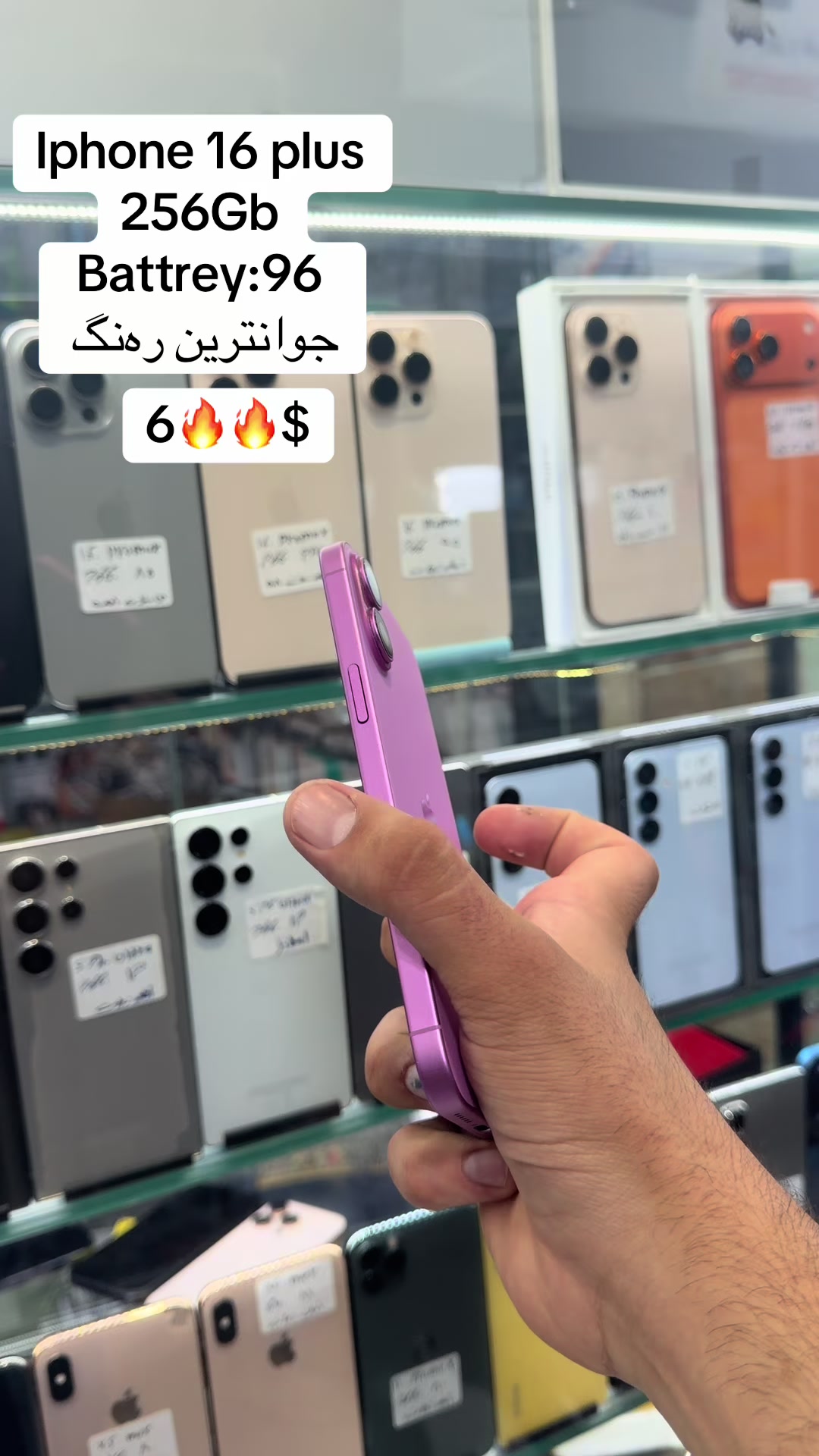 @shadyar.phone