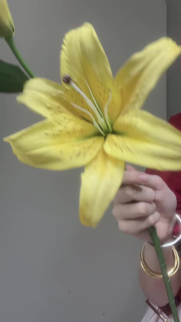 @jellybea