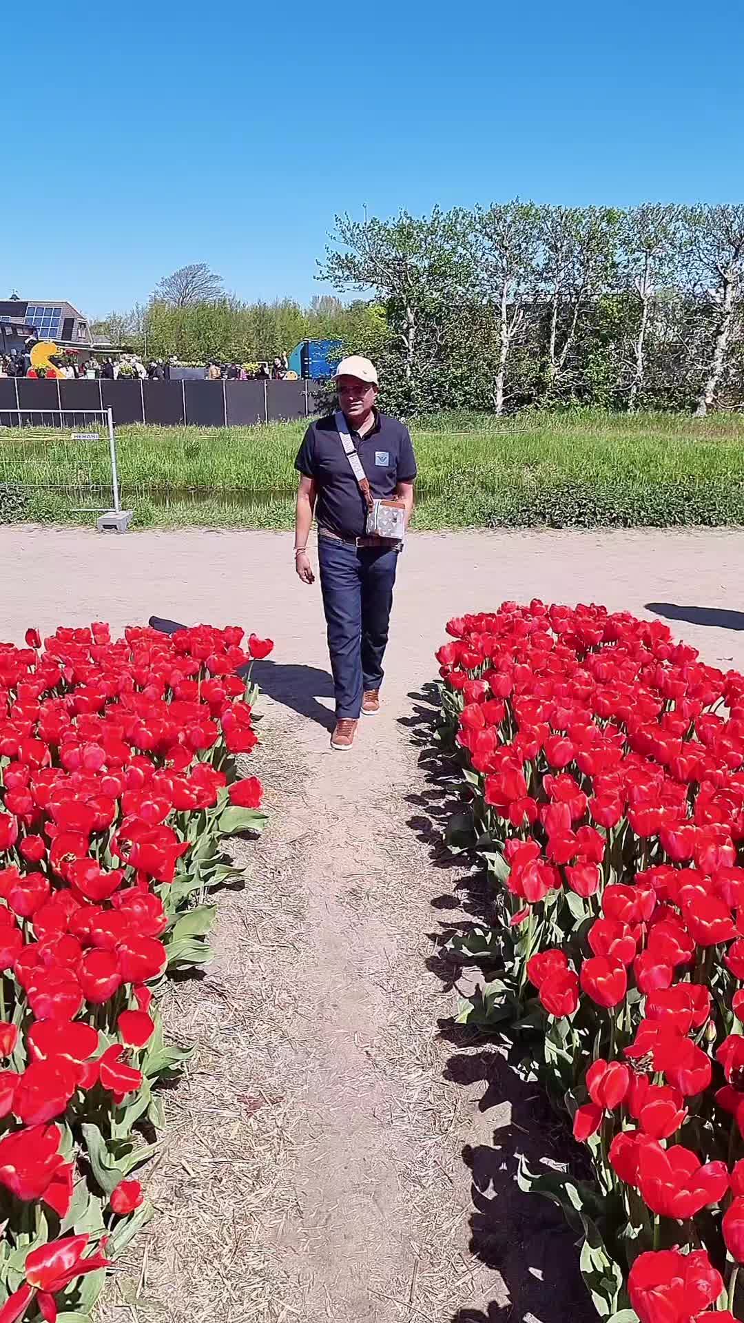 @Mila