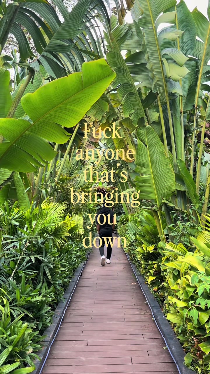 @dos