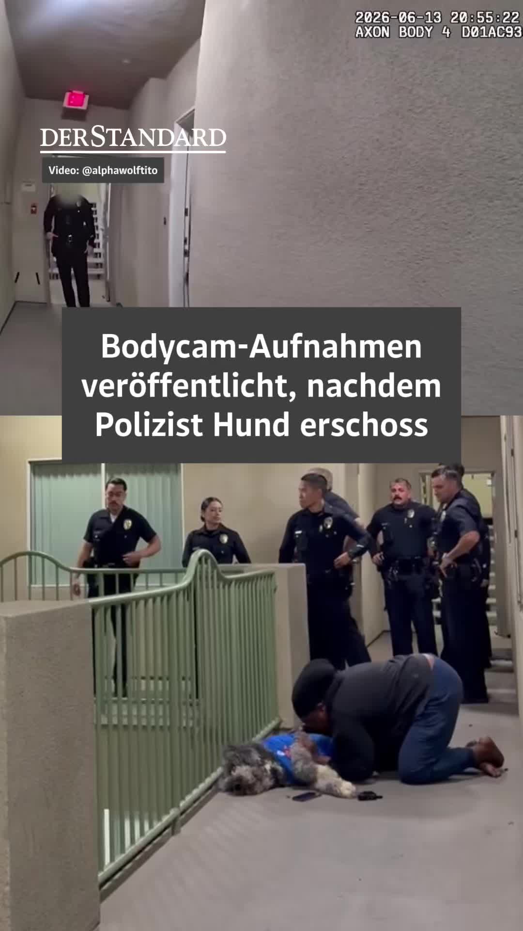 @DER STANDARD News