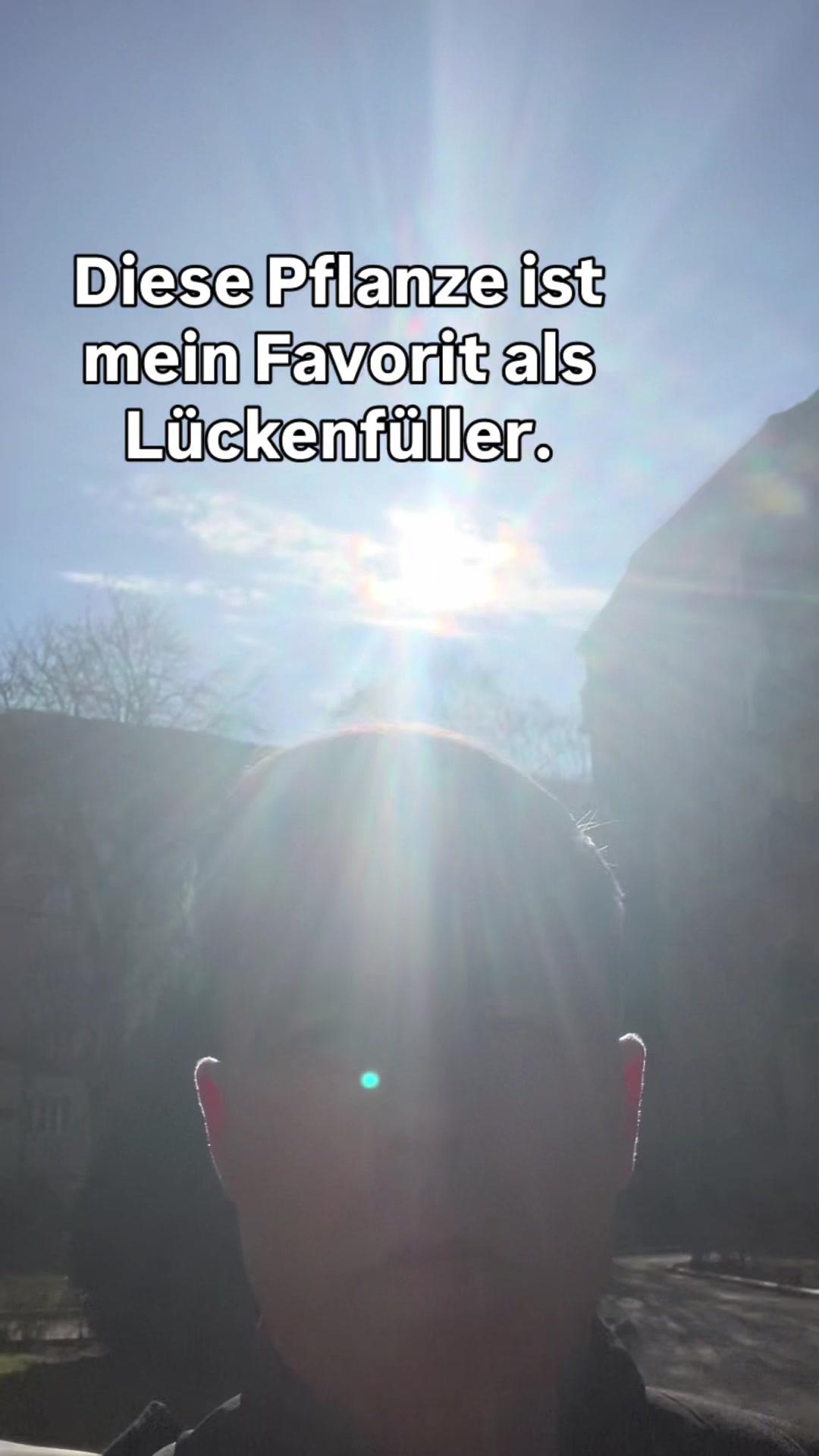 @Sebastian Domaschke