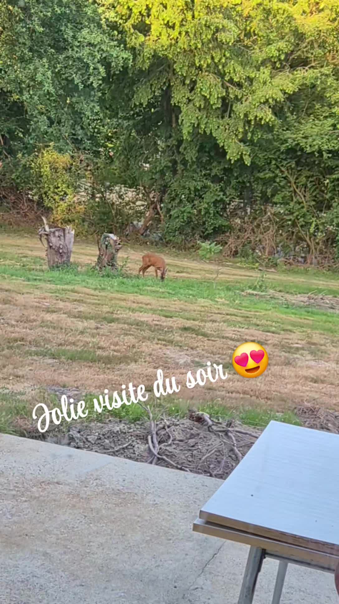 @cynbibiche