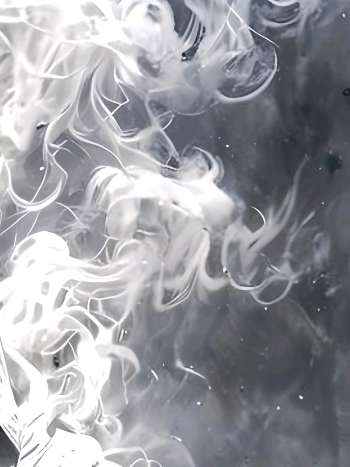 @𝐅𝐋𝟎𝐖&nbsp;𝐃𝟑𝐌𝐎𝐍 ⚡︎