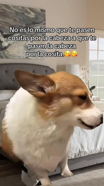 @Osiel Hernandez II