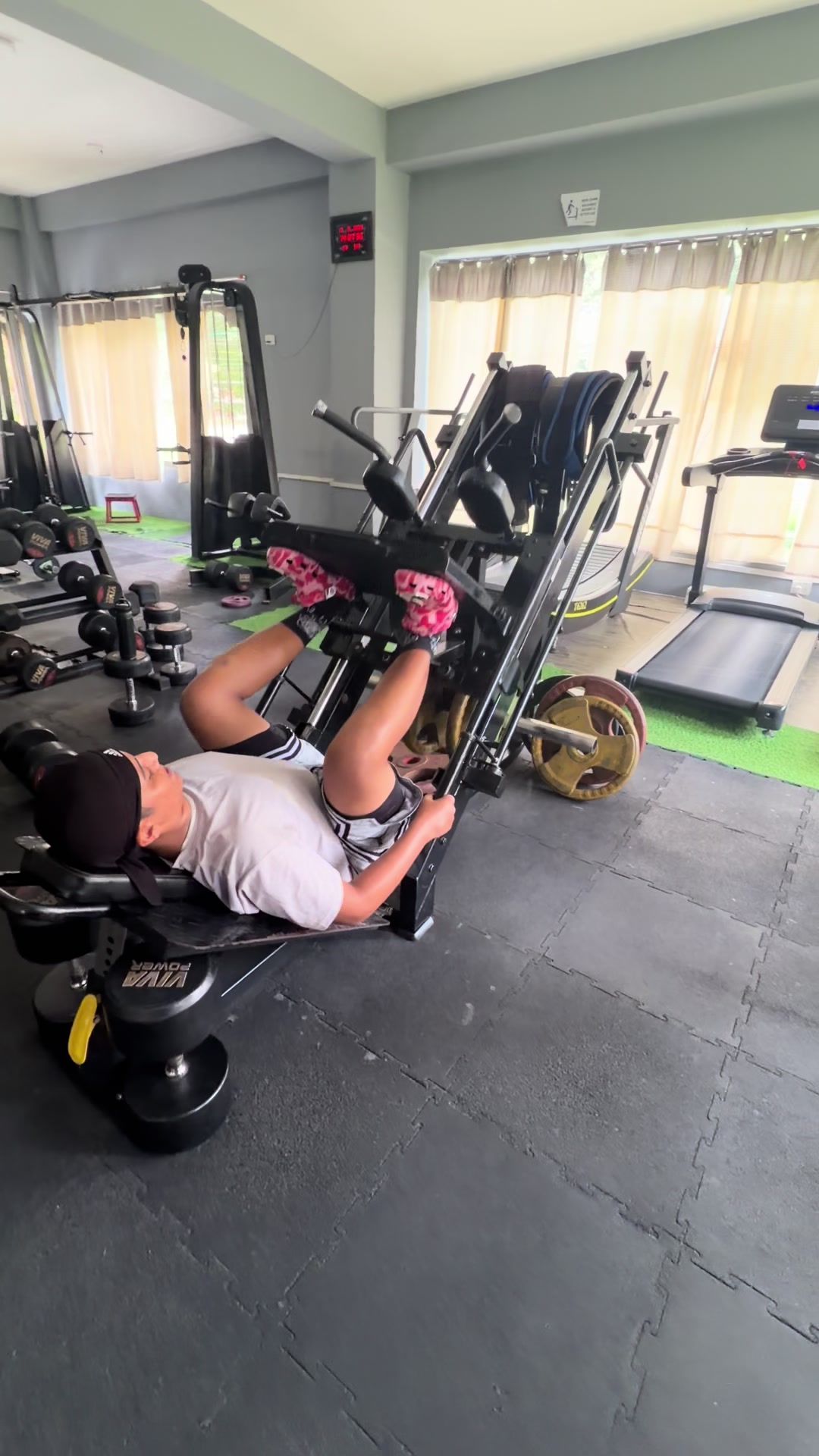 @Gym Shark