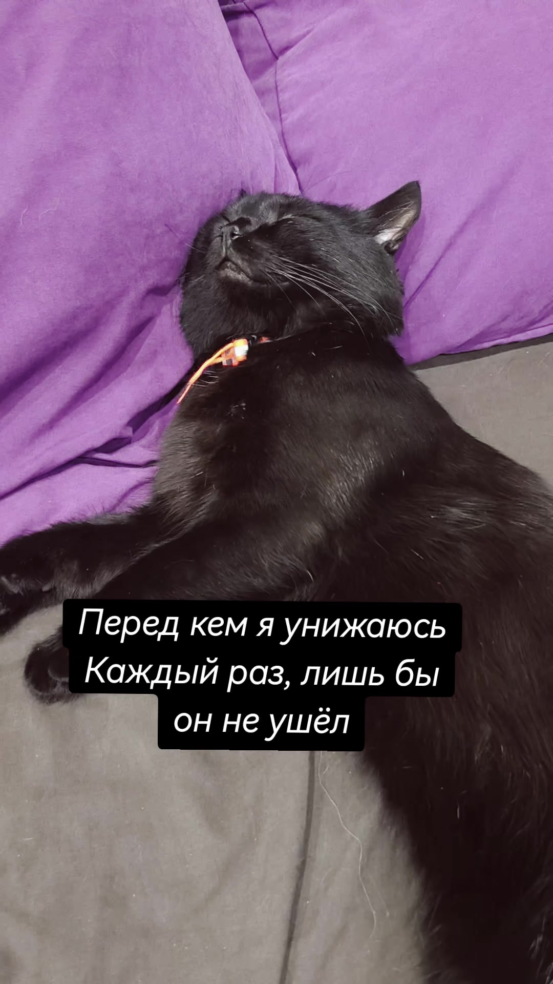 @Аделина Негодяева